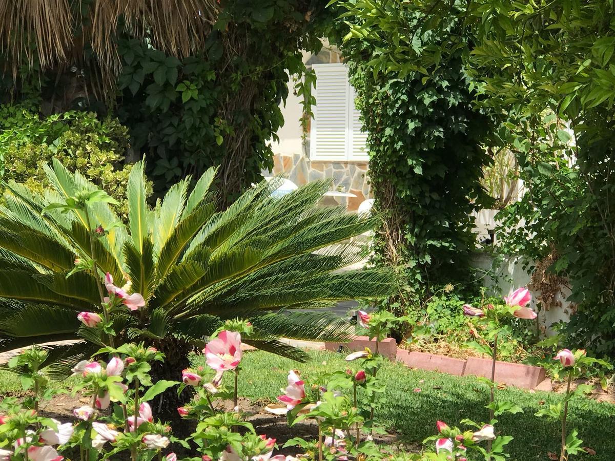 Bed and Breakfast Cortijo Andaluz Alhaurín el Grande Zewnętrze zdjęcie